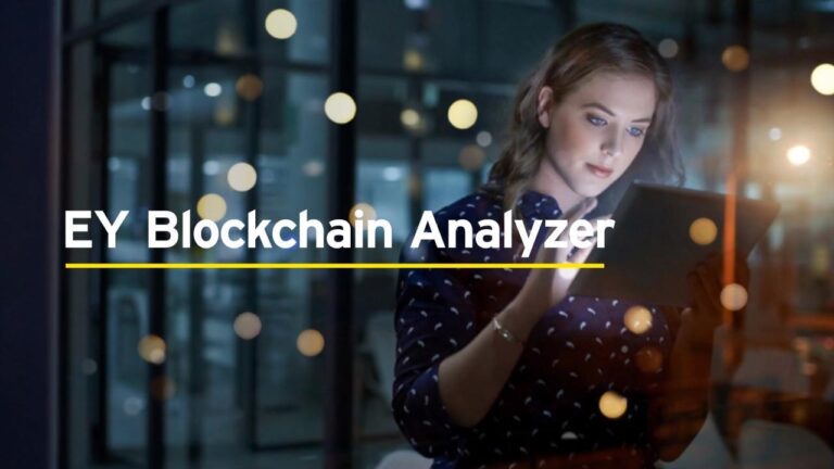 EY Blockchain Analyzer. Credits EY