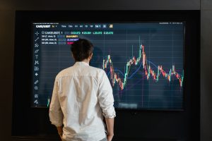 Back view of a trader analyzing cryptocurrency data on a monitor indoors